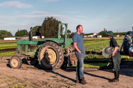 Hawkes Bay fresh and frozen prepared vegetable and fruit supplier - Reid Produce