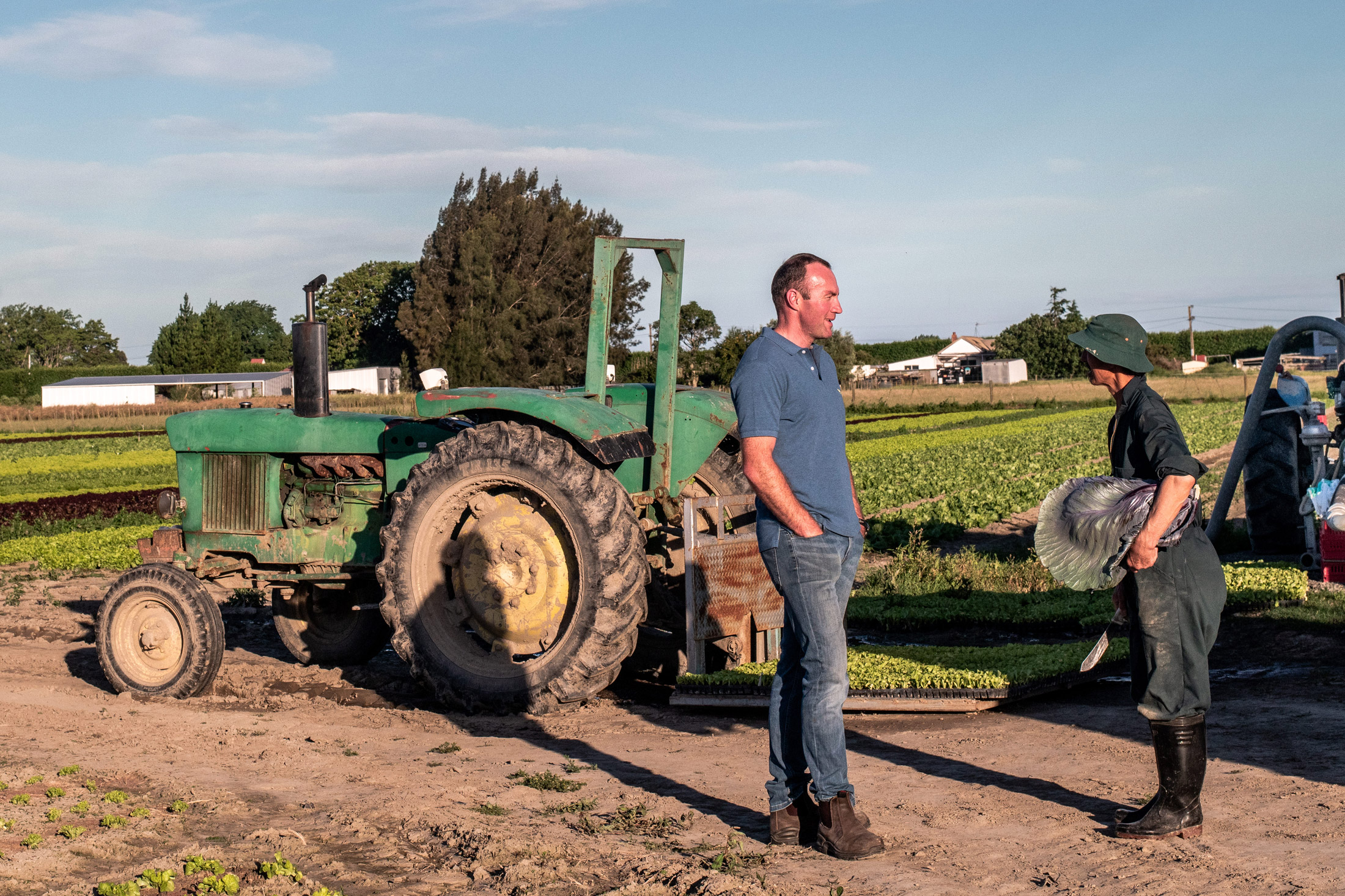 Hawkes Bay fresh and frozen prepared vegetable and fruit supplier - Reid Produce