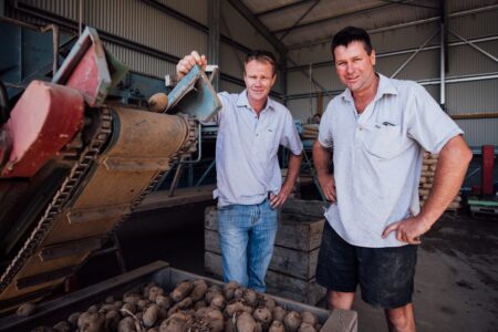 Two people standing beside a potato sorting conveyor inside a processing shed, with crates of potatoes in front of them.