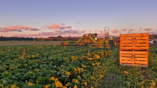 Reid Produce Co. processes premium kiwifruit in New Zealand.
